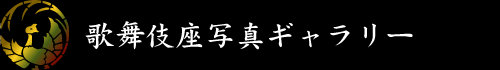 �̕�����ʐ^�M�������[